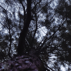 梦里呜咽中的小河(prod.BERL1IN&BBMachine)