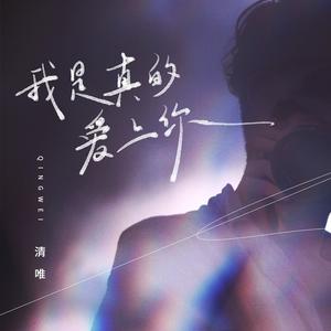我是真的爱上你
