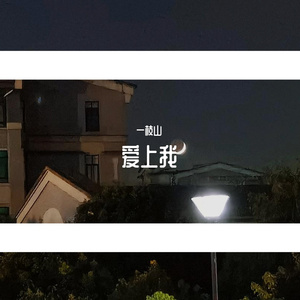 你是我最愚蠢的一次浪漫