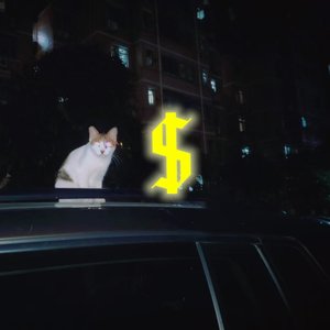 $（prod by D1NOVO）