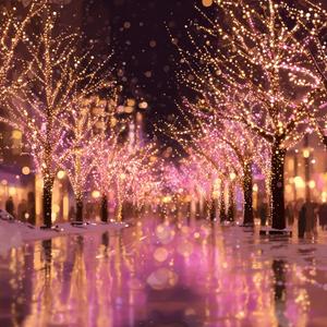 Starlit Lovers House