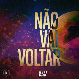 Não Vai Voltar (Original Mix)