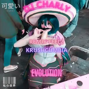 DJ CHARLY (EVOLUTION) (KRUSHCUMBIA REMIX FEELZ)