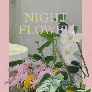 텅빈 길