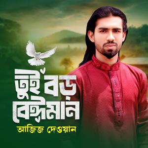 তুই বড় বেঈমান কষ্টের বিচ্ছেদ গান