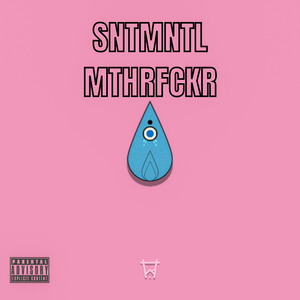 Sntmntl (Demo)