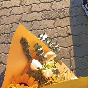 dilnaz （吉他版）