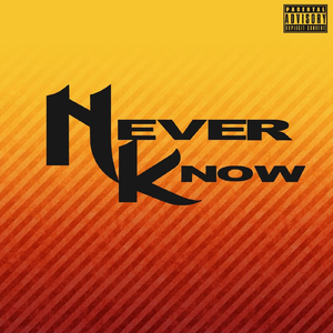Never Know (feat. Jp Tha Hustler)