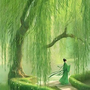咏柳