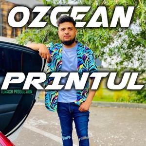 Ork. Romaniei X Ozgean Printul - Alo Baza Baza