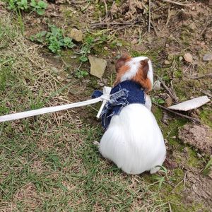 wyiwyi的歌(prod.by Morrow)