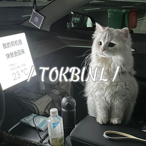 雪Distance&隆里电丝&暴雨 (TokBinL&TeaCat MASHUP)