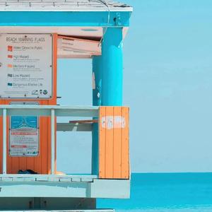 阿尔茨海默的爱