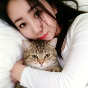 逆风航线