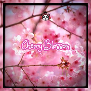 Cherry Blossom