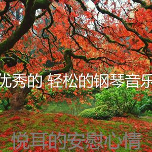 一尘不染烹饪印象数