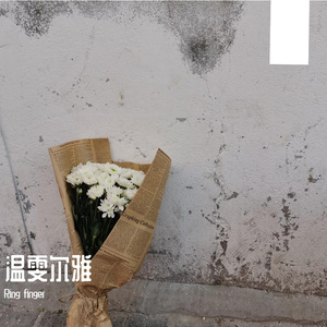 与世界为敌也爱你(更改和声最终版)
