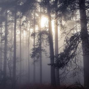 Umbrella（Harmless Bootleg） 伴奏