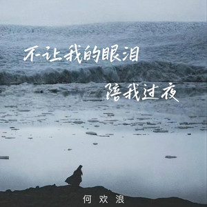 不让我的眼泪陪我过夜