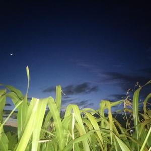 你最近过的好吗