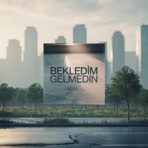 Bekledim Gelmedin