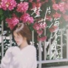 整片花海不见你