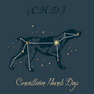 C.H.D. Constellation Hounds Dogs