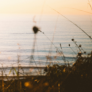 Where The Noise Fades