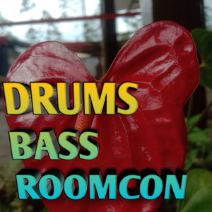Drums Bass Roomcon