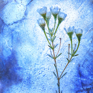 How Great Thou Art (Piano version)