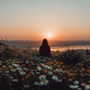Serene Echoes