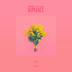 로맨스가 필요해 (Inst.)