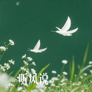 张培志 - 听风说