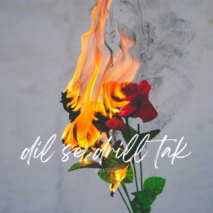 Dil Se Drill Tak