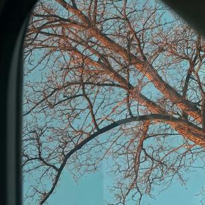 只字不提于和伟（抖音热搜）