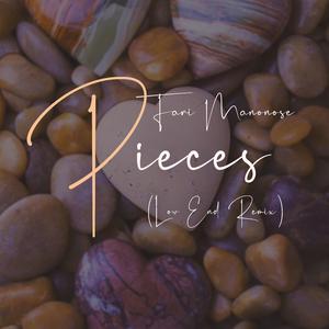 Pieces (feat. Low End) (Remix)