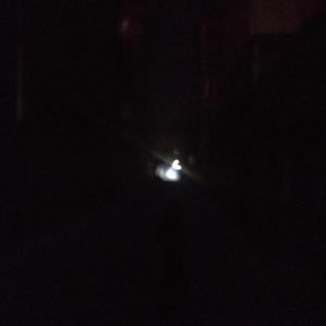 我最习惯的事情就是把你弄丢