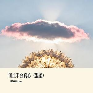 何止半分真心