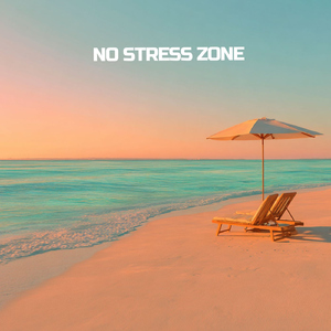 No Stress Zone