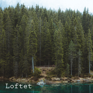 Skog