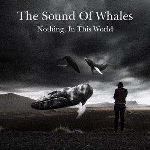 nothinginthisworld (D E M O) [2 0 1 0]