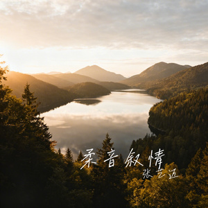 柔音叙情