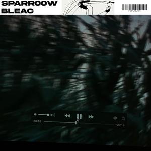 Ich_hoffe_du_bleibst_alleine (feat. bleac)