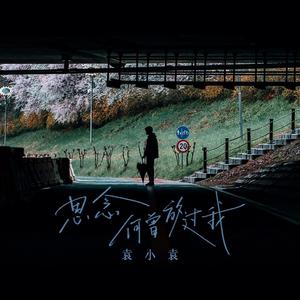 思念何曾放过我 (Live)