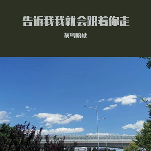 告诉我我就会跟着你走