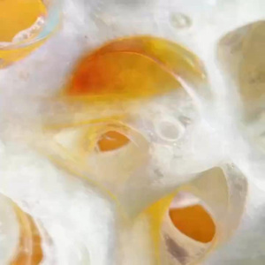 总裁熬粥 Mansion Porridge-Brewing CEO