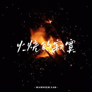 火烧的寂寞 - R&B微醺氛围