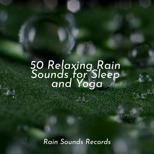 Glistening Trail of Green