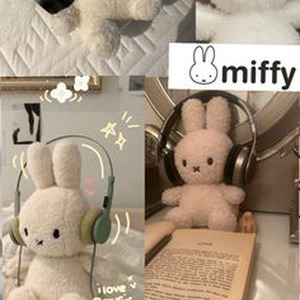 The Tokugawa Cup Noodle