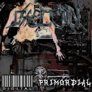 Primordial
